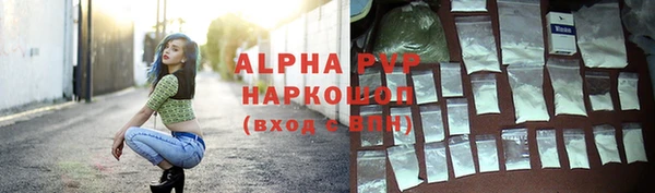 спиды Бородино