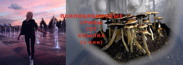 гашик Бугульма