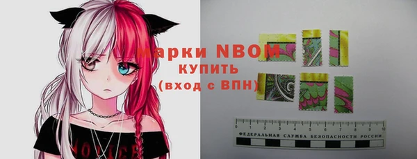 гашиш Богданович