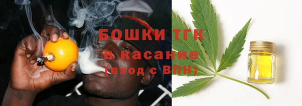 спиды Бородино