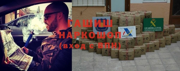 спиды Бородино