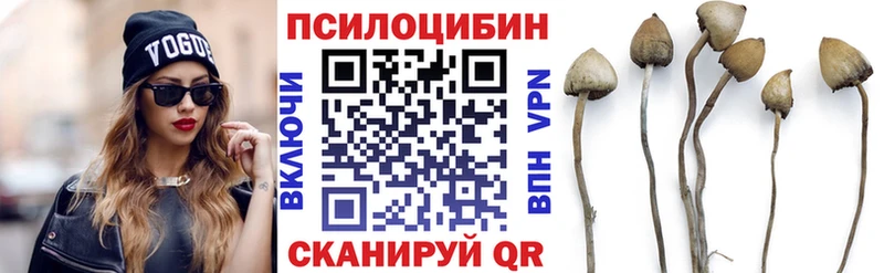 Галлюциногенные грибы MAGIC MUSHROOMS  Купить закладки  Отрадное 